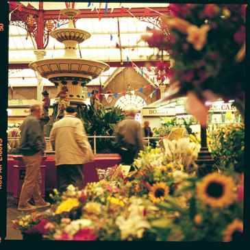 jersey flower market jersey flower market