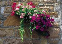 Hanging basket against granite wall Hanging basket against granite wall