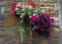 Hanging basket against granite wall