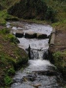 Jersey St Catherines Woods stepping stones